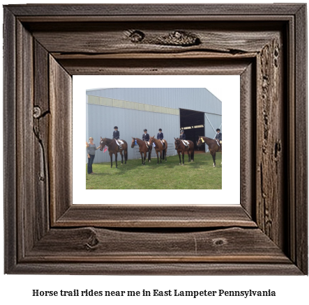 horse trail rides near me in East Lampeter, Pennsylvania